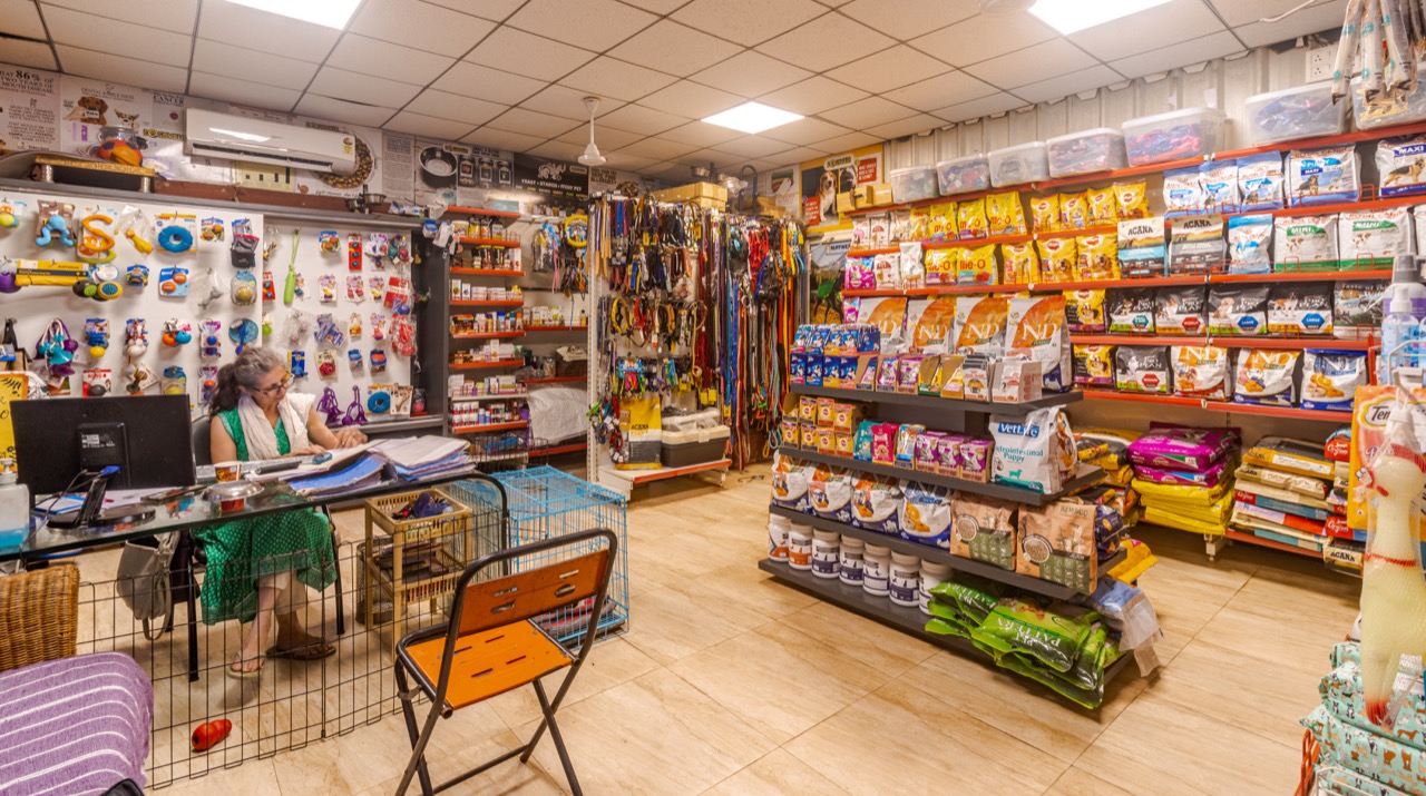 Cat Boarding Services - Professional service photo 4